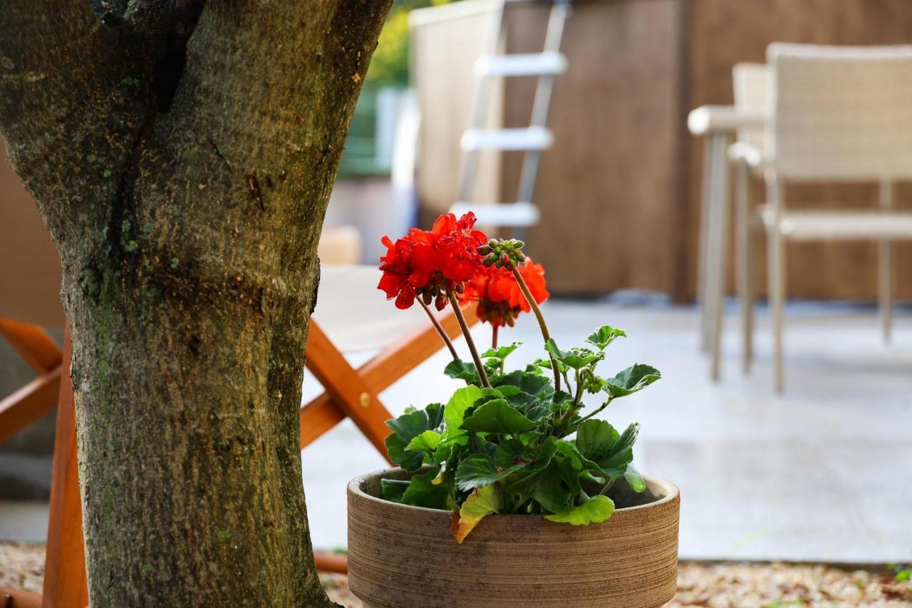 The Florens Residence Near The Beach With The Pool, Bbq And Kids Playground, Zadar Diklo 外观 照片